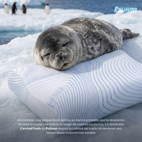 Almohada Cervical Fresh